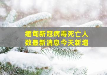 缅甸新冠病毒死亡人数最新消息今天新增