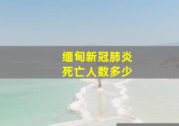 缅甸新冠肺炎死亡人数多少