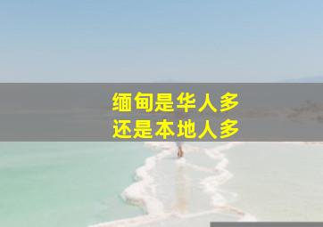 缅甸是华人多还是本地人多