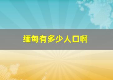 缅甸有多少人口啊