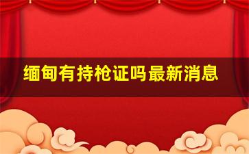 缅甸有持枪证吗最新消息