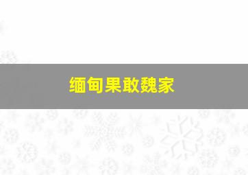 缅甸果敢魏家