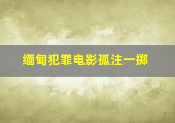 缅甸犯罪电影孤注一掷