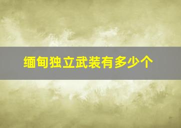 缅甸独立武装有多少个