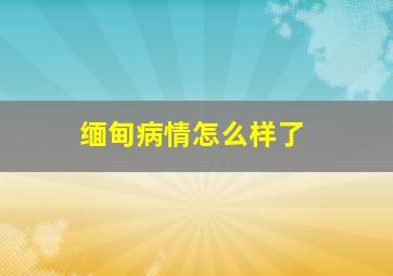 缅甸病情怎么样了