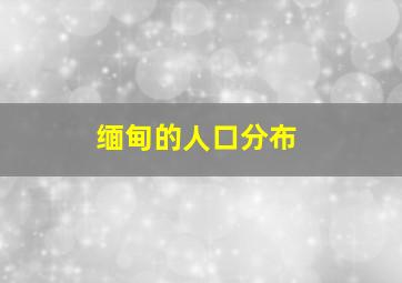 缅甸的人口分布