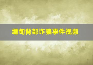 缅甸背部诈骗事件视频