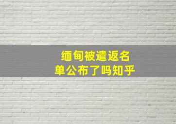 缅甸被遣返名单公布了吗知乎