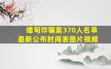 缅甸诈骗案370人名单最新公布时间表图片视频