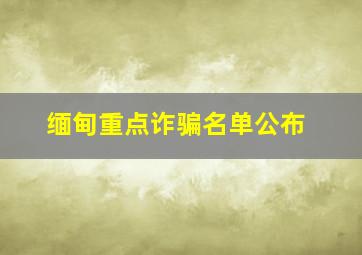 缅甸重点诈骗名单公布