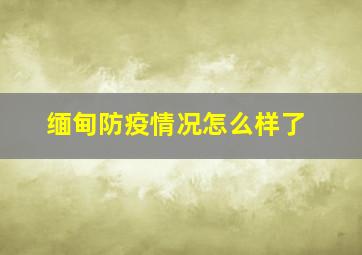 缅甸防疫情况怎么样了