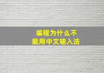 编程为什么不能用中文输入法