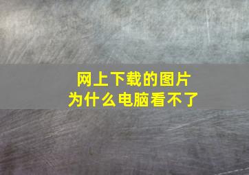 网上下载的图片为什么电脑看不了