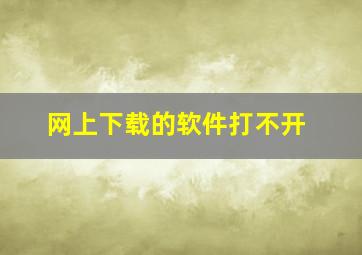 网上下载的软件打不开