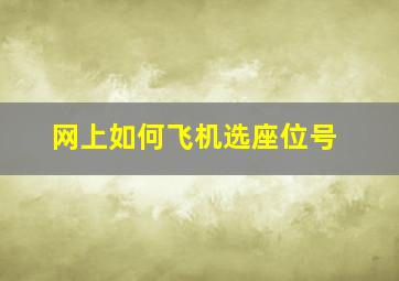 网上如何飞机选座位号