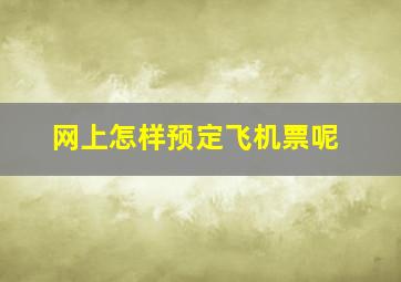 网上怎样预定飞机票呢