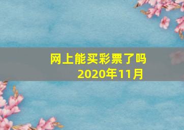 网上能买彩票了吗2020年11月