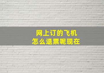 网上订的飞机怎么退票呢现在