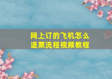 网上订的飞机怎么退票流程视频教程