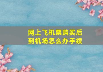 网上飞机票购买后到机场怎么办手续