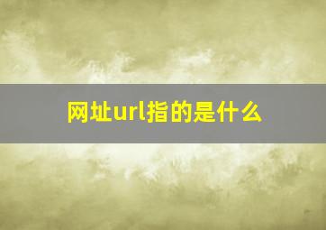 网址url指的是什么