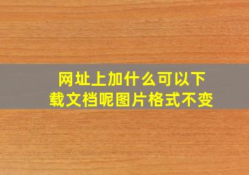 网址上加什么可以下载文档呢图片格式不变