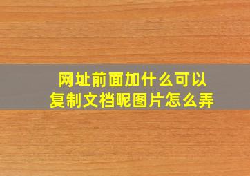 网址前面加什么可以复制文档呢图片怎么弄