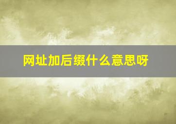 网址加后缀什么意思呀