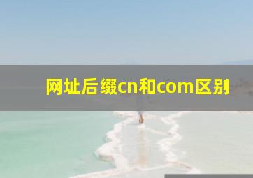 网址后缀cn和com区别