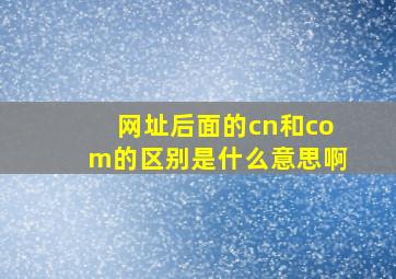 网址后面的cn和com的区别是什么意思啊