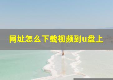 网址怎么下载视频到u盘上