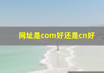 网址是com好还是cn好