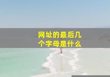 网址的最后几个字母是什么