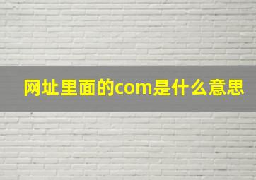 网址里面的com是什么意思