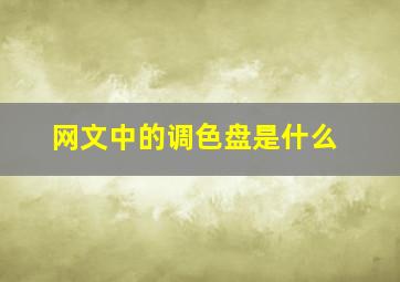 网文中的调色盘是什么