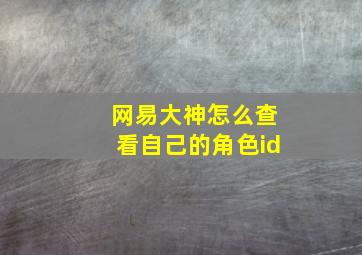 网易大神怎么查看自己的角色id