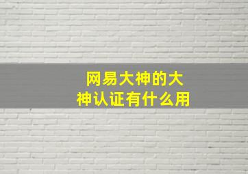 网易大神的大神认证有什么用