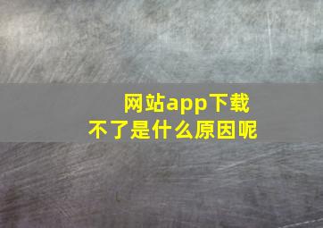 网站app下载不了是什么原因呢