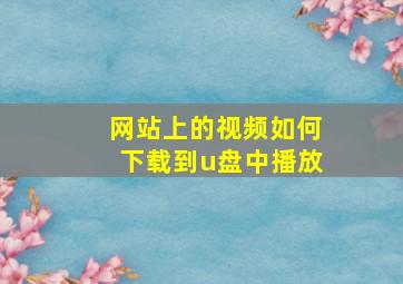 网站上的视频如何下载到u盘中播放