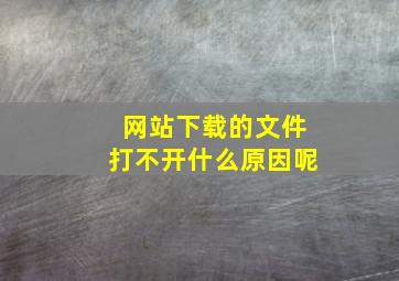 网站下载的文件打不开什么原因呢