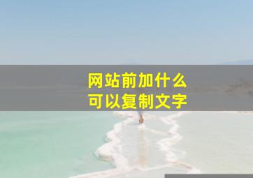 网站前加什么可以复制文字