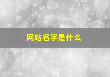 网站名字是什么