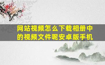 网站视频怎么下载相册中的视频文件呢安卓版手机