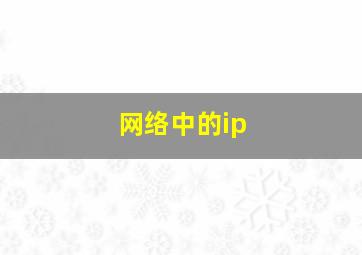 网络中的ip