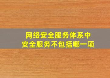 网络安全服务体系中安全服务不包括哪一项