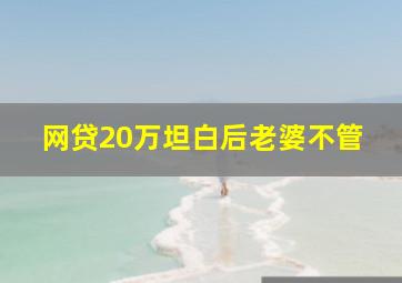 网贷20万坦白后老婆不管