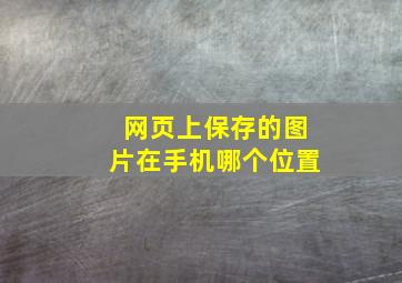 网页上保存的图片在手机哪个位置