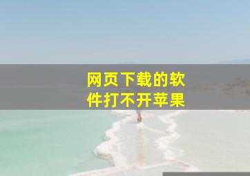 网页下载的软件打不开苹果