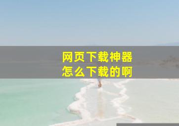 网页下载神器怎么下载的啊