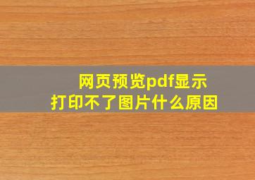 网页预览pdf显示打印不了图片什么原因